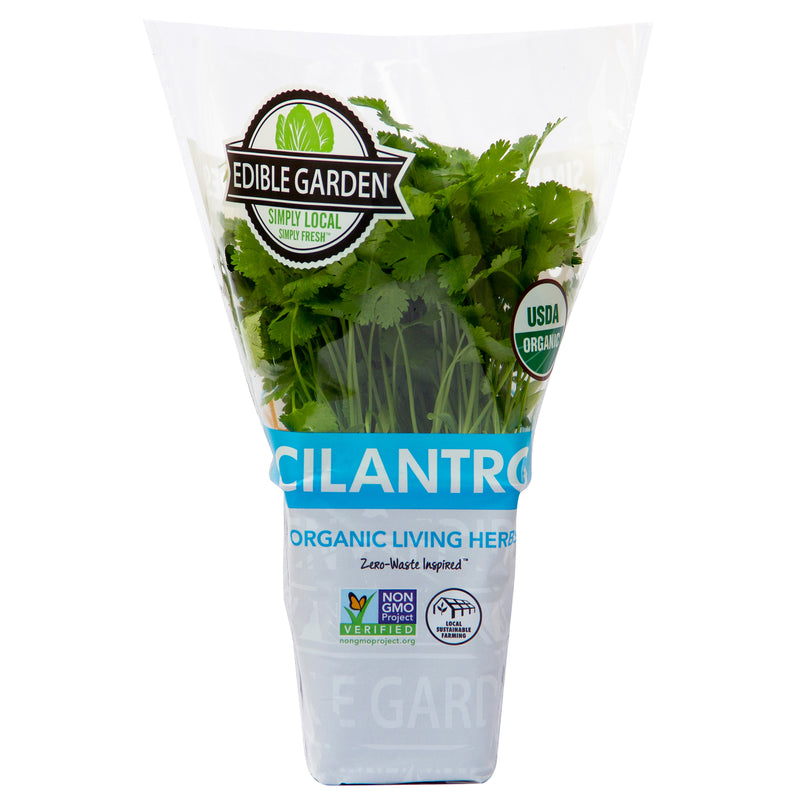 Organic Cilantro